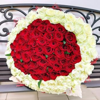 Букет 101 красно-белая роза (№  166953)