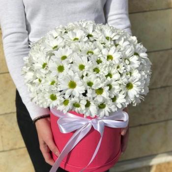 Шляпная коробка с белой хризантемой